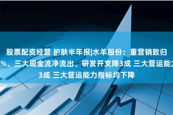 股票配资经营 护肤半年报|水羊股份：重营销致归母净利润-26%、三大现金流净流出、研发开支降3成 三大营运能力指标均下降