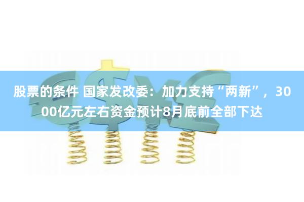 股票的条件 国家发改委：加力支持“两新”，3000亿元左右资金预计8月底前全部下达